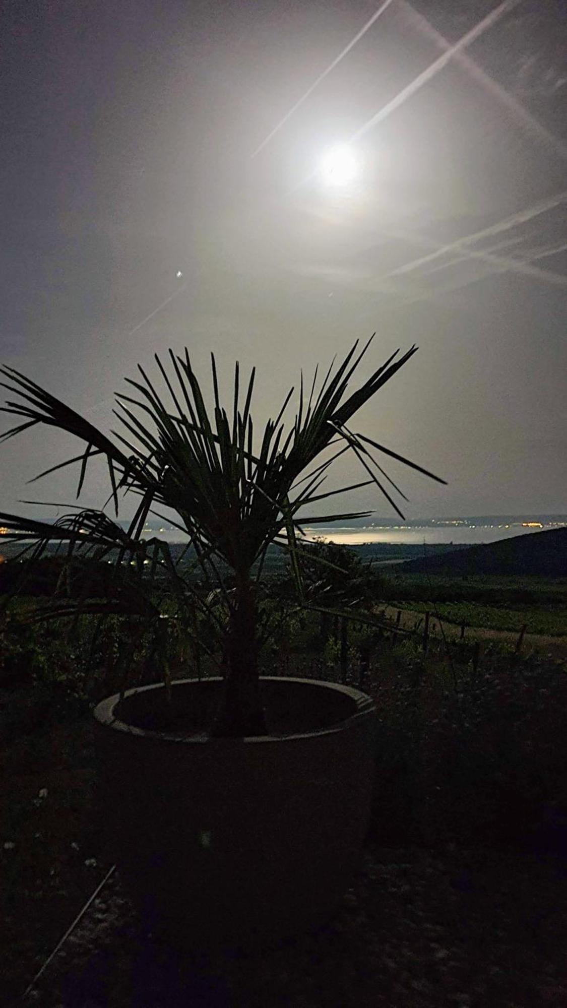 Panorama, Balaton Villa Dorgicse Exterior photo