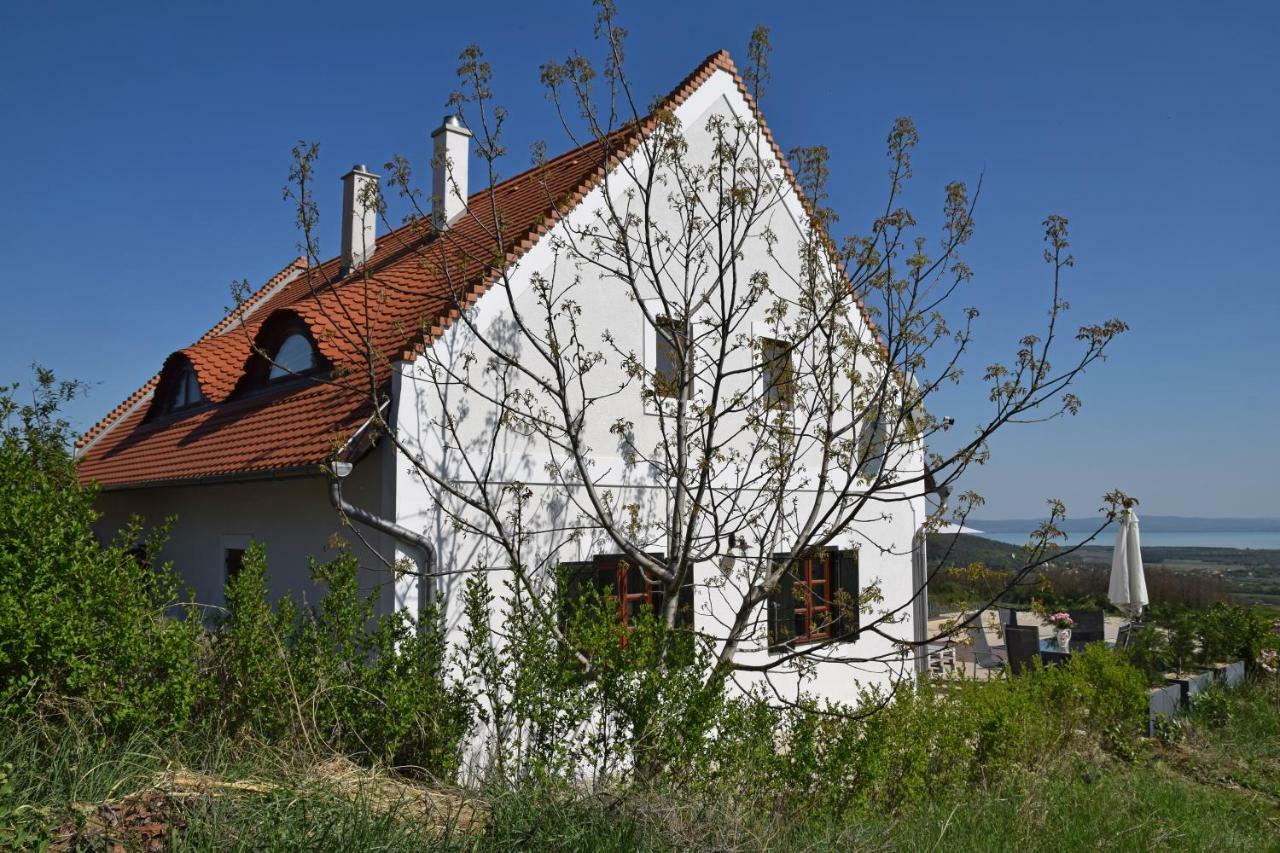 Panorama, Balaton Villa Dorgicse Exterior photo